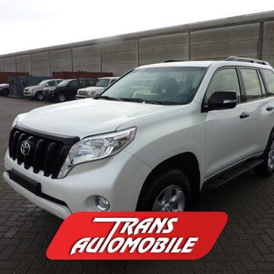www.importomiauto.com