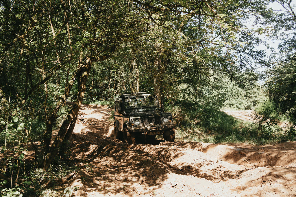 48291125yx.jpg