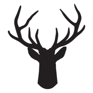 whitetailbicycles.com