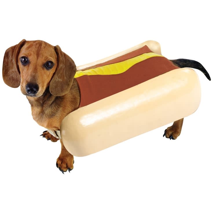 hot_dog_dog_costume.jpg